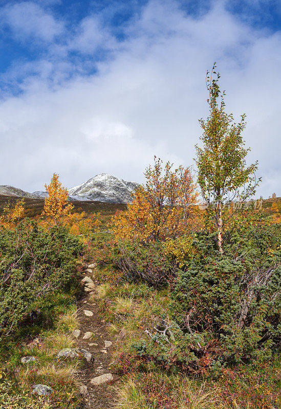 挪威Hemsedal Buskerud的秋季山景小径